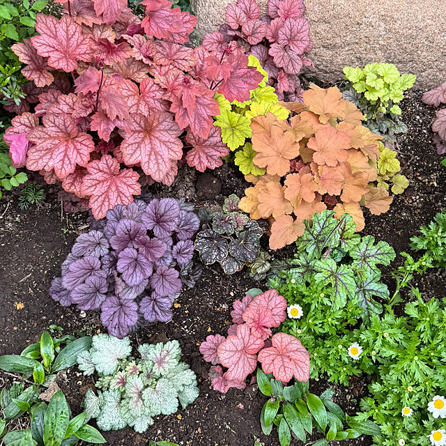 mamizaさんの実例写真