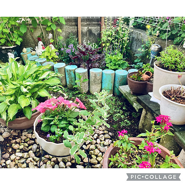 CoCo0617さんの部屋