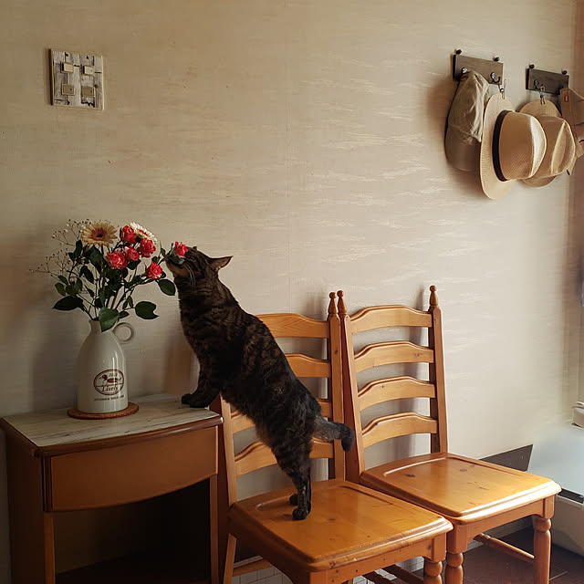 Mayumi8888さんの実例写真