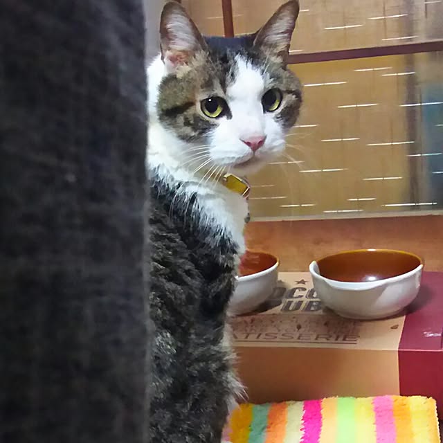 ah1123さんの実例写真
