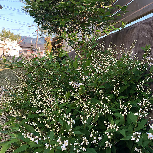 nanachanmamaさんの実例写真
