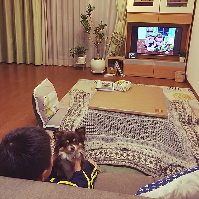 arinkoさんの実例写真