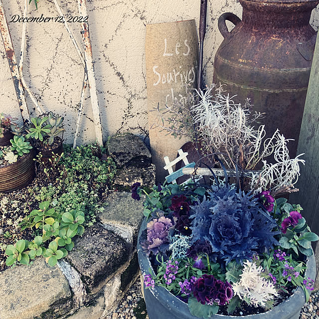 shhさんの実例写真