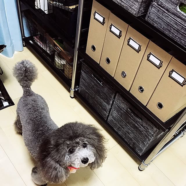 T.さんの実例写真