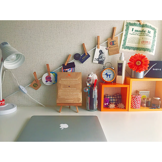 Lisaさんの実例写真