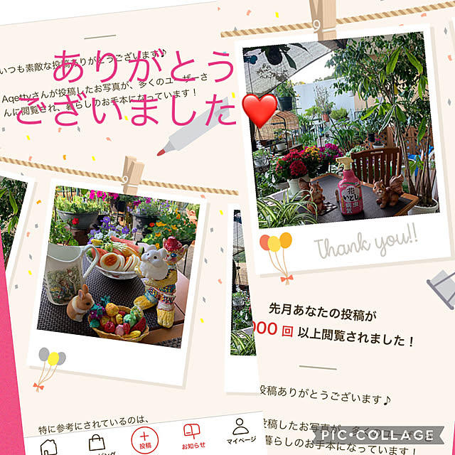 Aqettyさんの実例写真