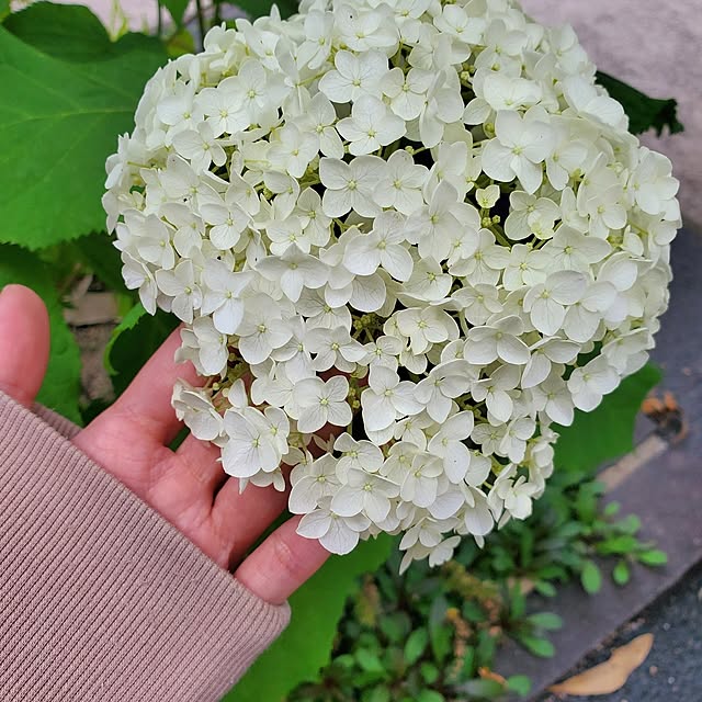 ayaさんの部屋