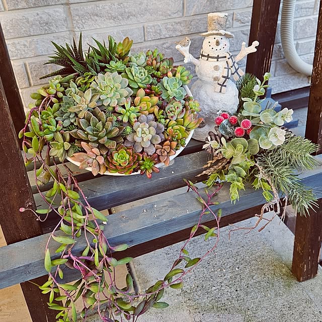 mocomocoさんの部屋