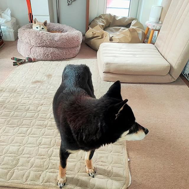 ponhanaさんの部屋