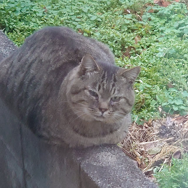 fukuさんの実例写真