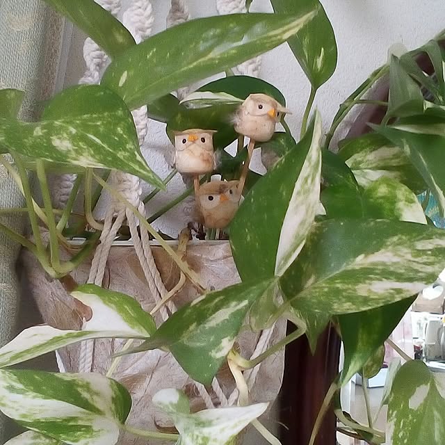 mariagardenさんの実例写真