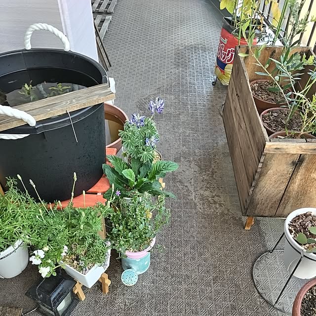mi-saさんの部屋