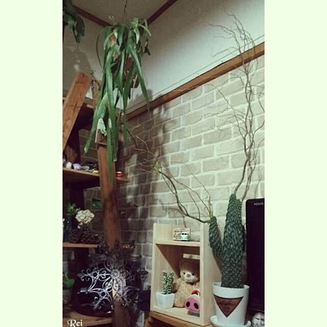 Reiさんの実例写真