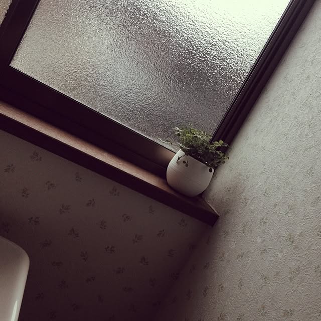 248maNiaさんの実例写真