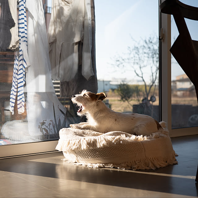 SONNTAGHAUSさんの実例写真