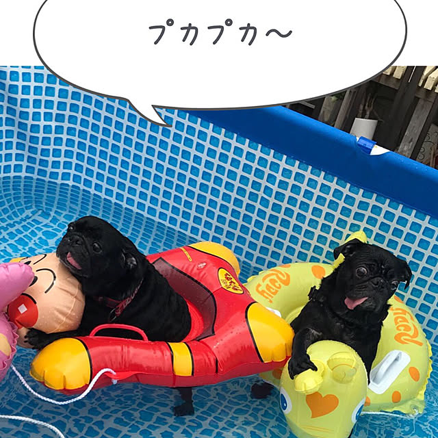 soraさんの実例写真