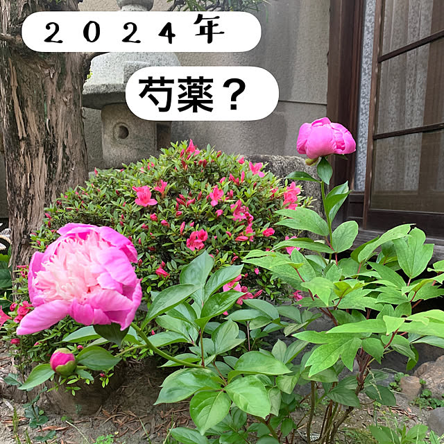 keiさんの実例写真
