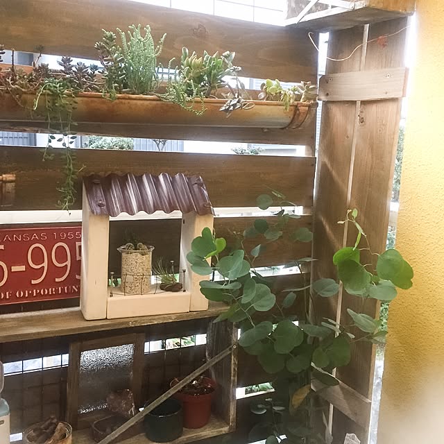 natulove0418さんの実例写真