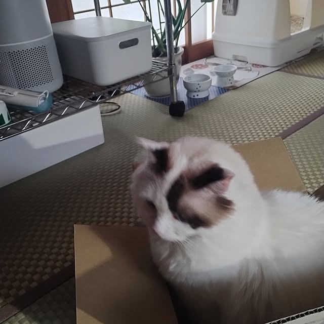 sawa0127さんの部屋