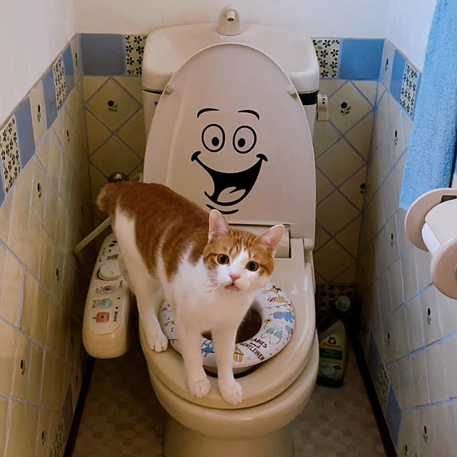 meさんの実例写真