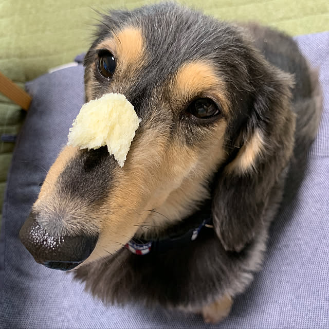 kiyomiさんの実例写真