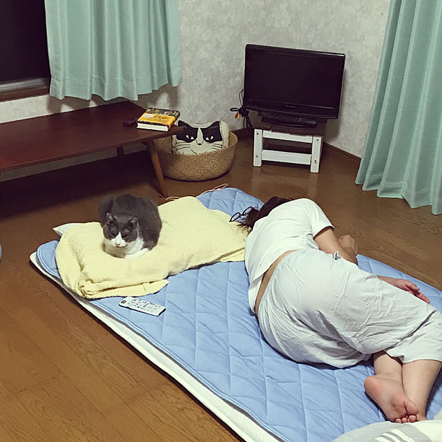 hacchiさんの実例写真