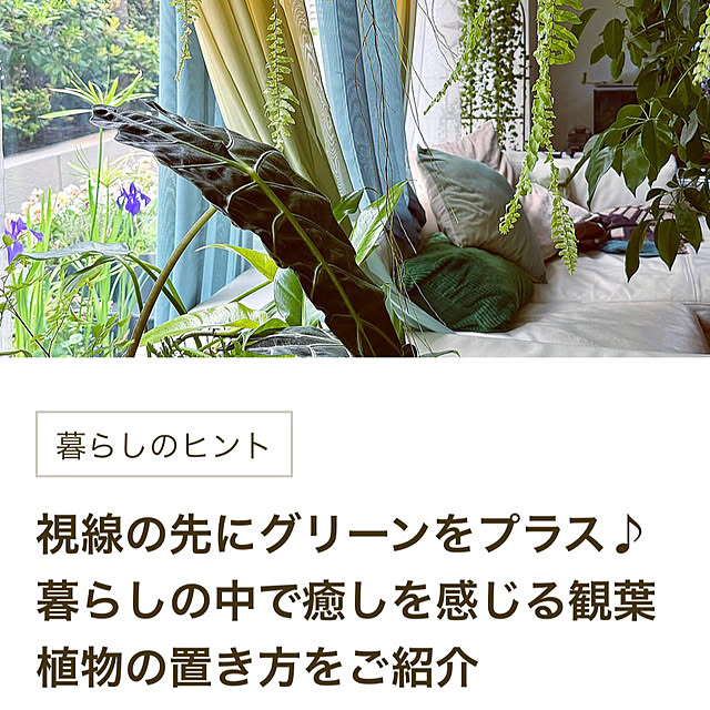 MOMOMAMAさんのお部屋の写真