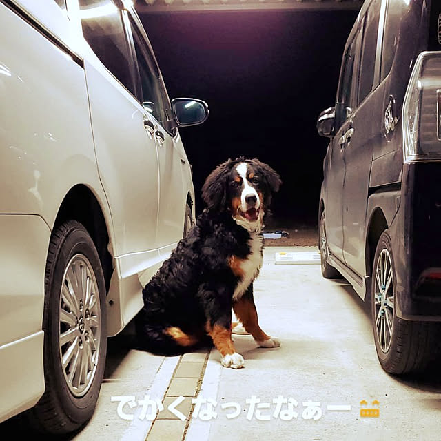 Daiさんの実例写真