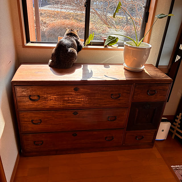 mikan161さんの実例写真