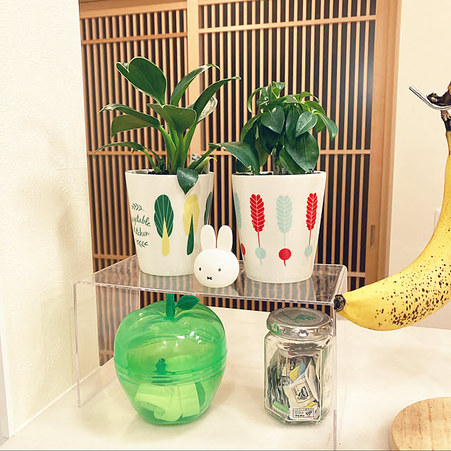 YukikunMonsterさんの実例写真