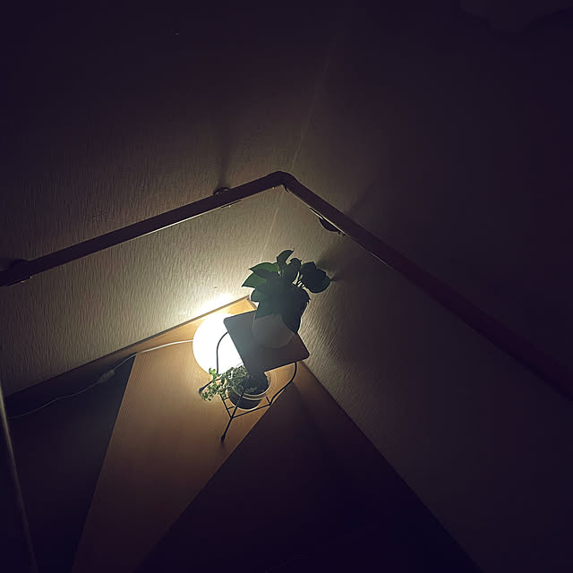 Blue_moonさんの実例写真