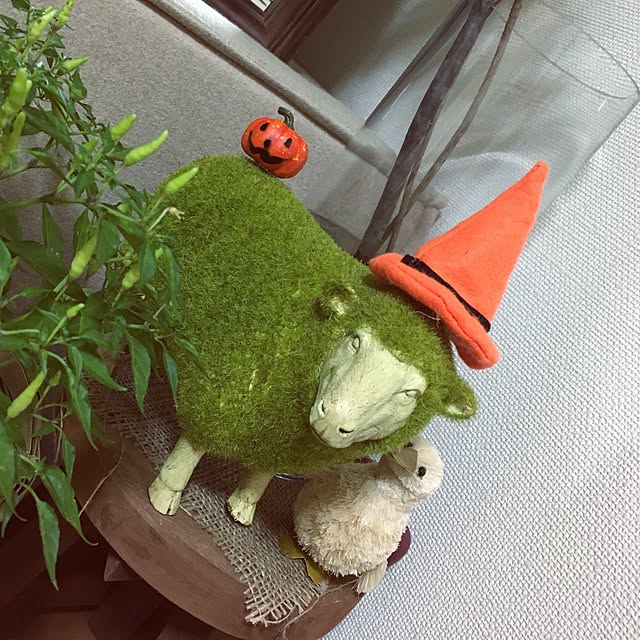 juboccoさんの実例写真