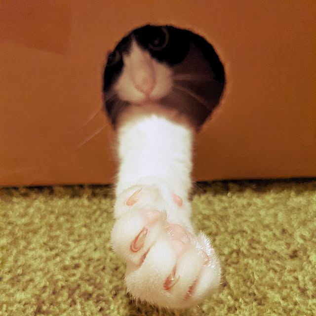 Helloさんの実例写真