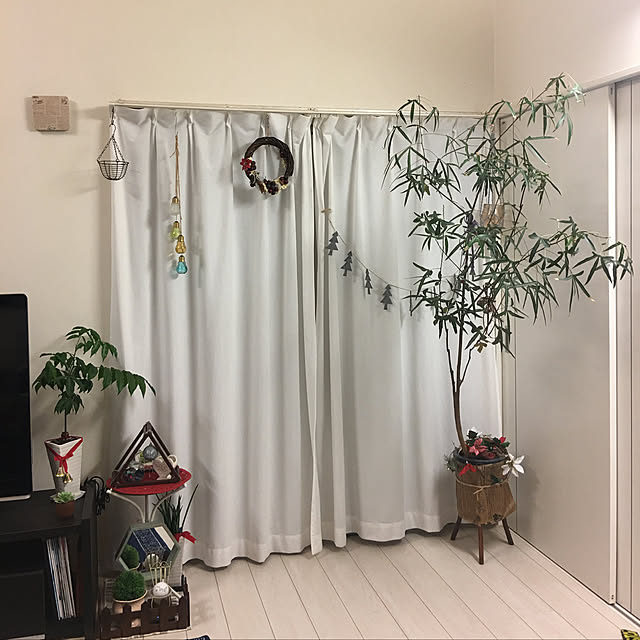 noma--1202さんの実例写真