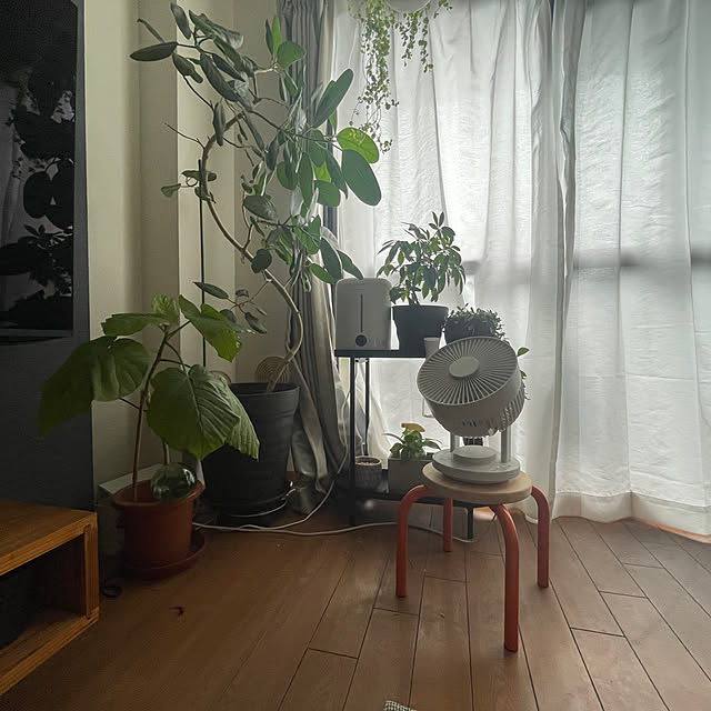 akoさんの実例写真