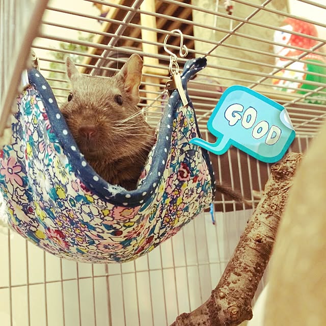 nikoさんの実例写真