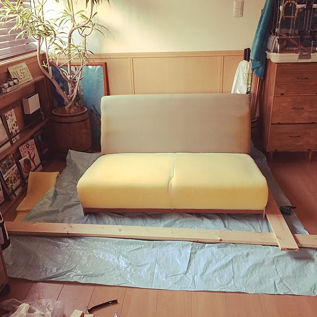 kaotanさんの実例写真