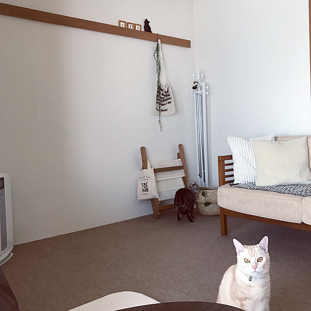 hiyupan88さんの実例写真