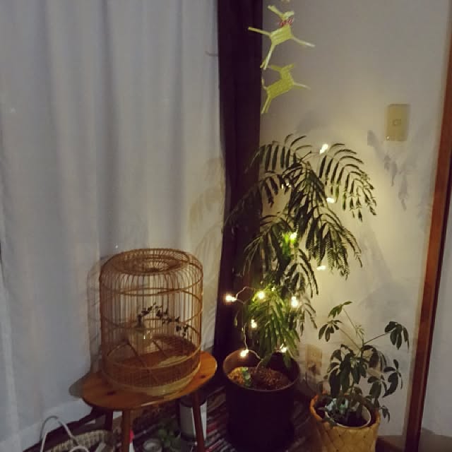 mameさんの実例写真
