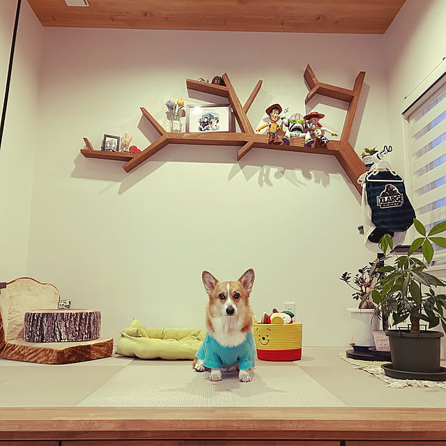 chiさんの部屋