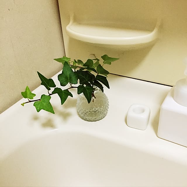 lenanlenyanさんの実例写真