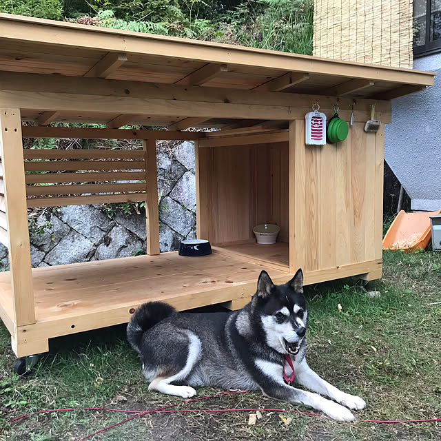 Nezuさんの実例写真