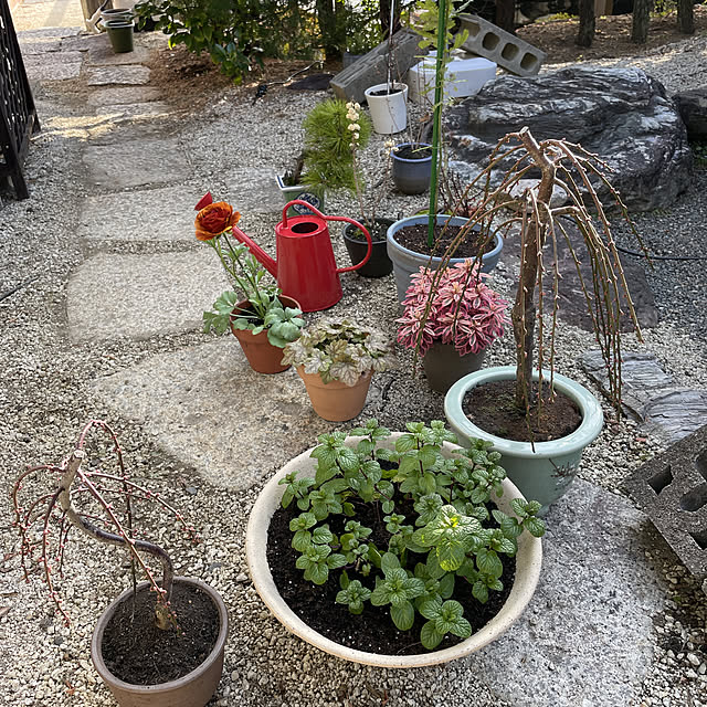 shin0719さんの実例写真