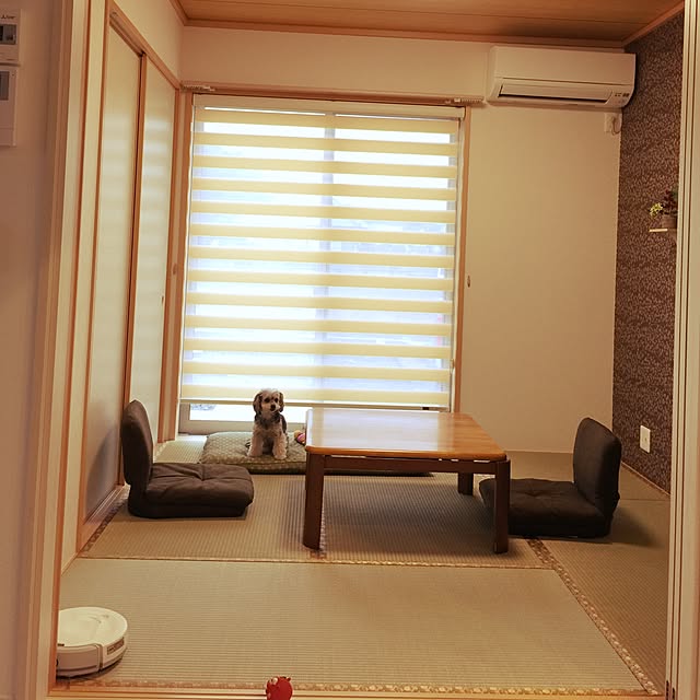 kazuchinさんの実例写真