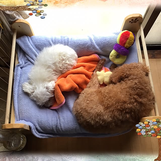 mikorinさんの実例写真