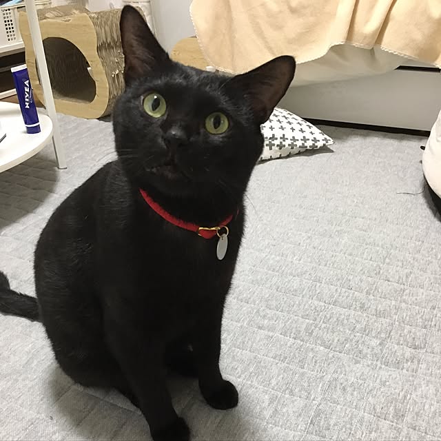 jasmine03さんの実例写真