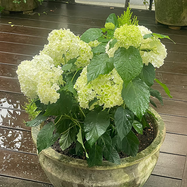 Yumiさんの部屋