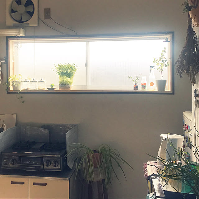 apiさんの実例写真