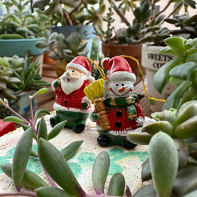 Aqettyさんの部屋