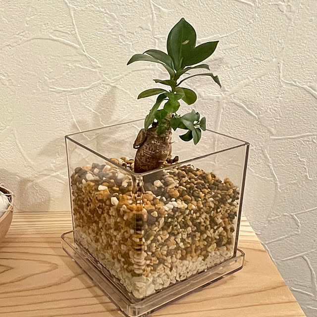 diy.papaさんの部屋